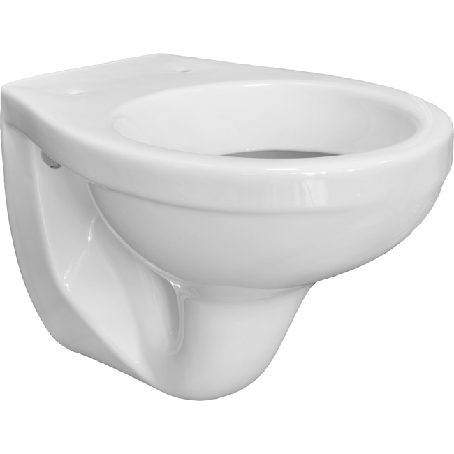 Bild von Wand-WC 'DNP' weiß