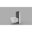 Verkleinertes Bild von Sanitärmodul "Sensor" für Wand WC Glas schwarz, Rahmen Alu