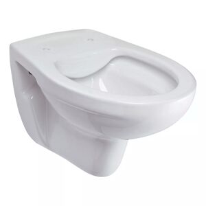 Wand-WC 'Basic' spülrandlos weiß 36 x 40 x 53 cm