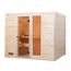 Sauna aus hellem Holz mit geöffneter Tür