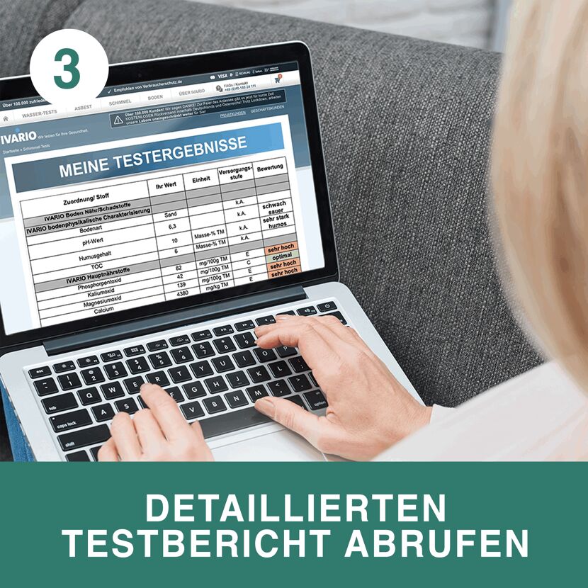 Person ruft Testergebnisse online ab.