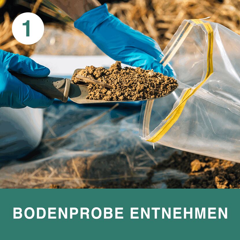 Person nimmt mit Schaufel eine Bodenprobe