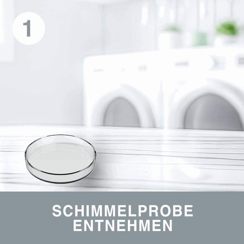 Petrischale für Schimmelprobe