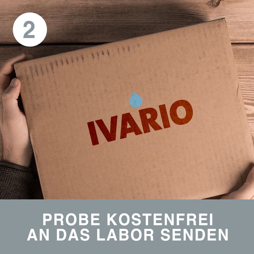Person hält IVARIO Karton