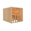 Elementsauna 'Arabella' naturbelassen mit bronzierter Tür und Glasfront 216 x 234 x 198 cm
