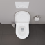 Wand-WC 'DuraFormance' inklusive WC-Sitz weiß