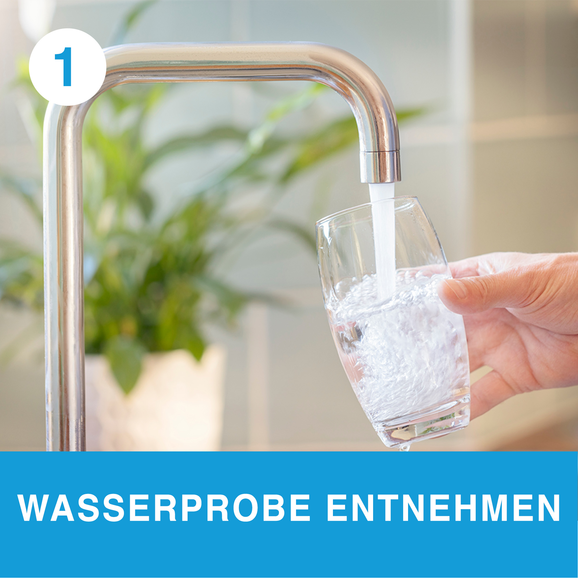 Wassertest 'Plus' 32 Prüfwerte