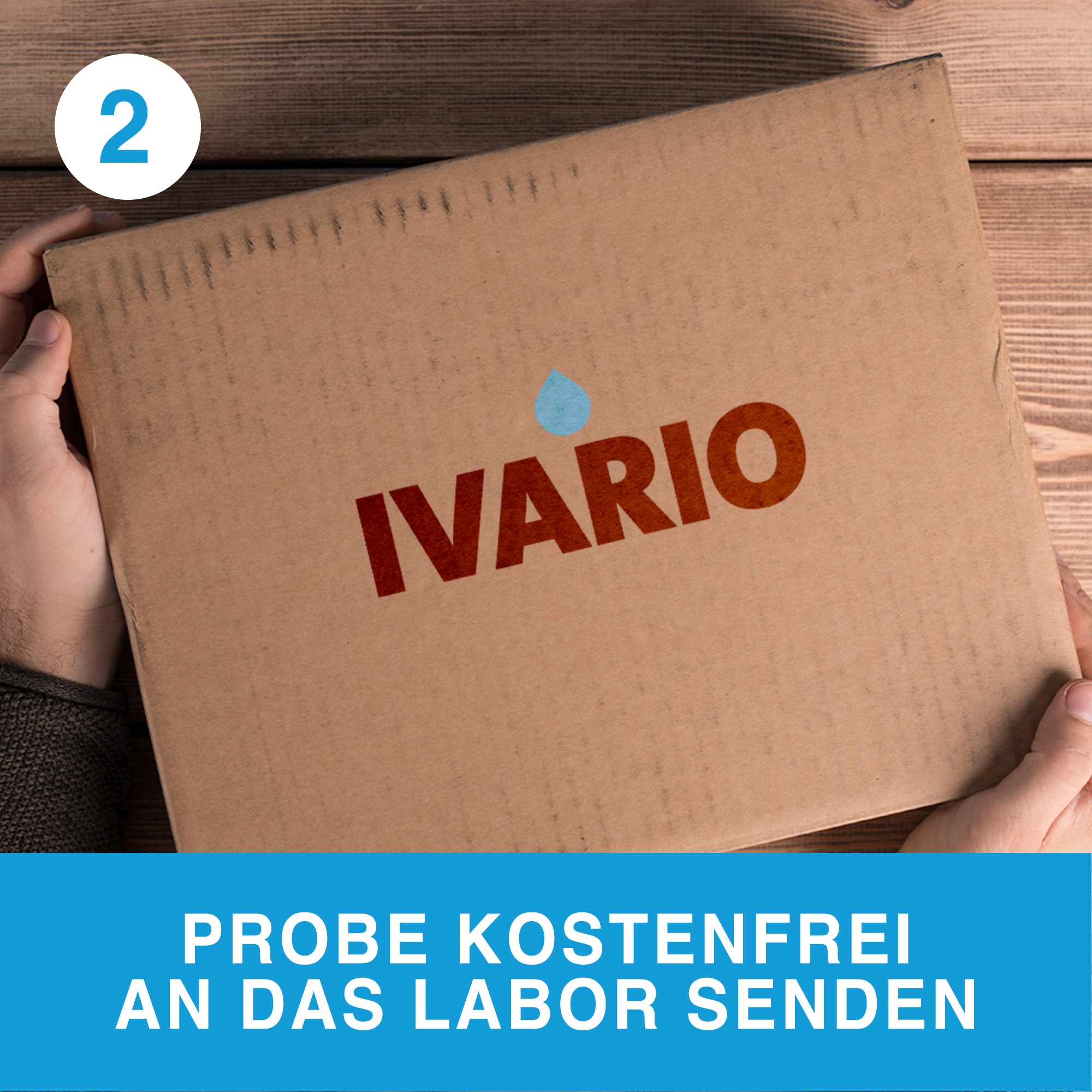 Wassertest Legionellen