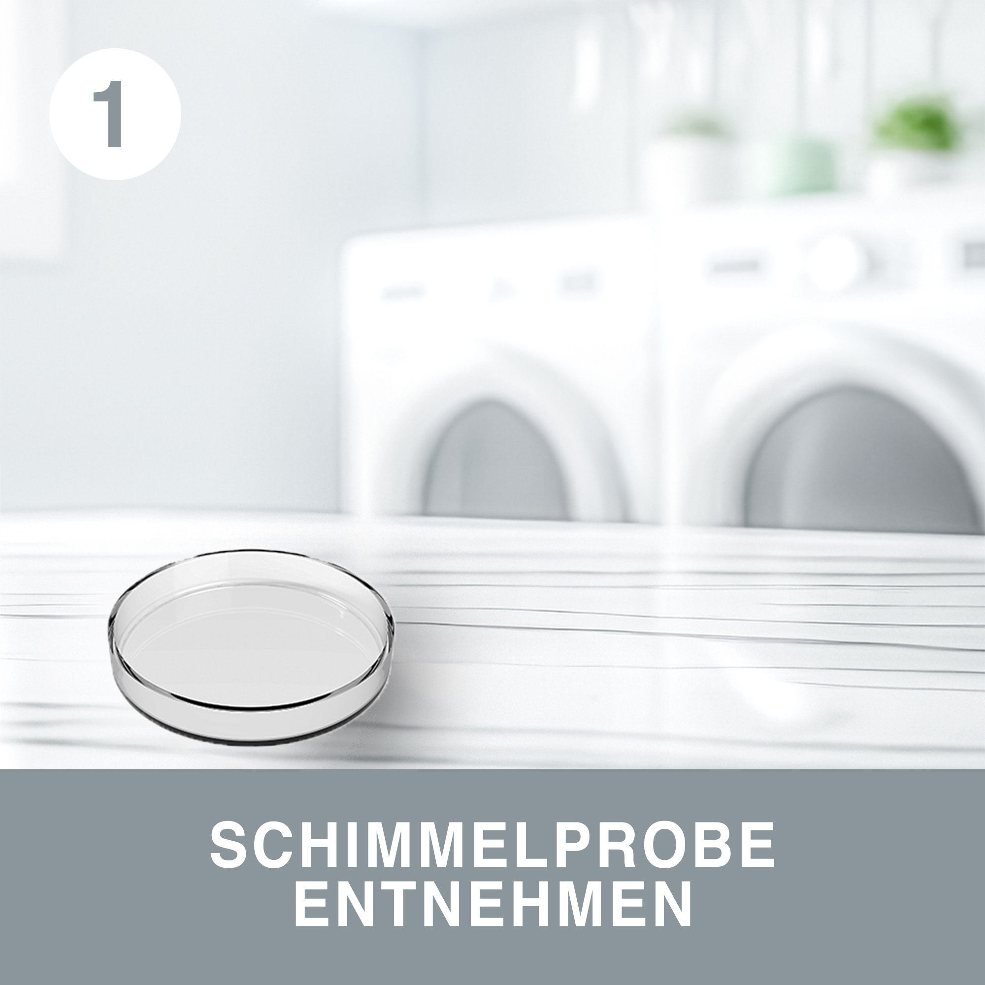 Schimmeltest 'Express' zur Selbstauswertung