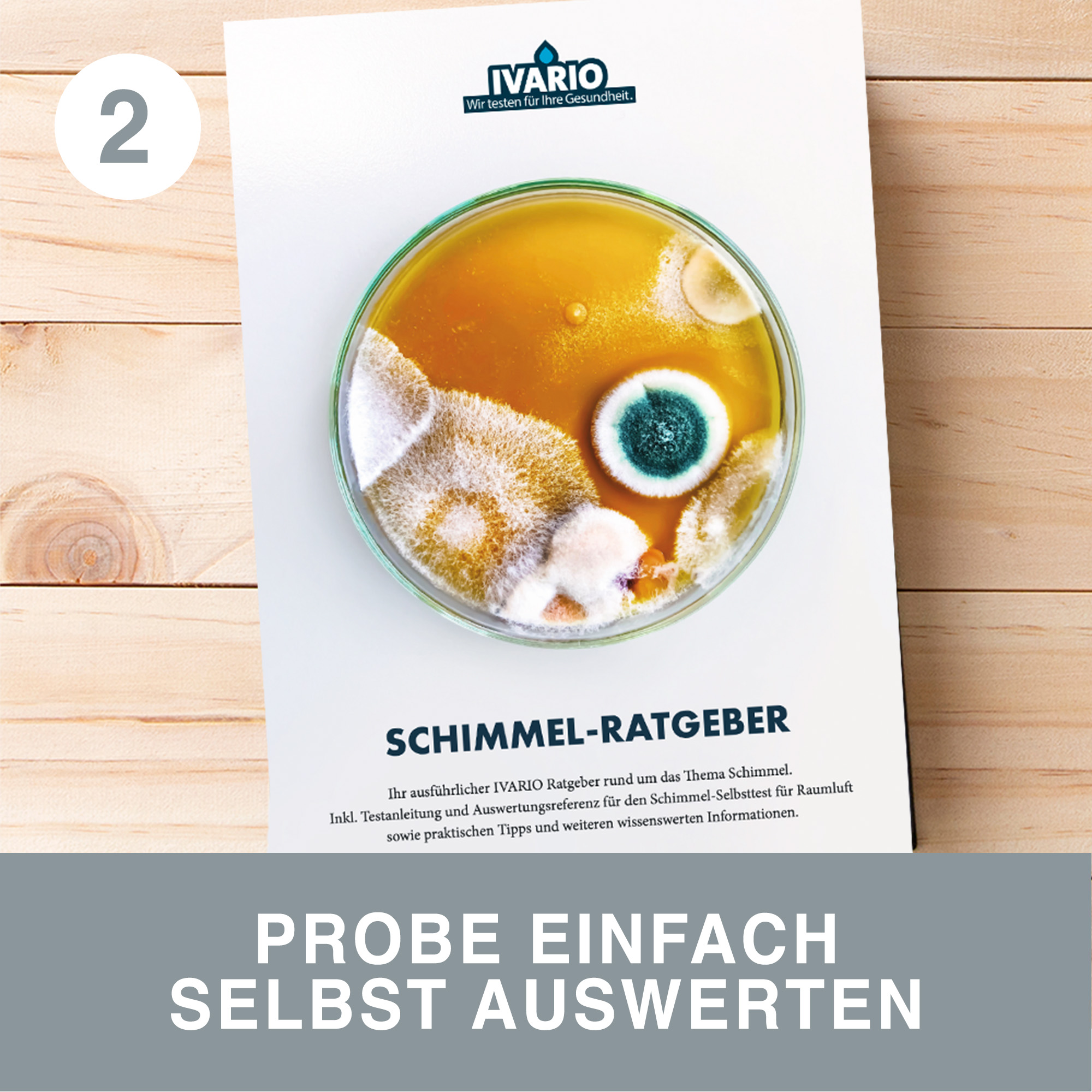 Schimmeltest 'Express' zur Selbstauswertung