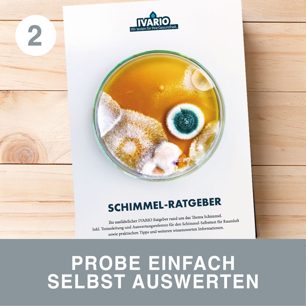 Schimmeltest 'Express' zur Selbstauswertung