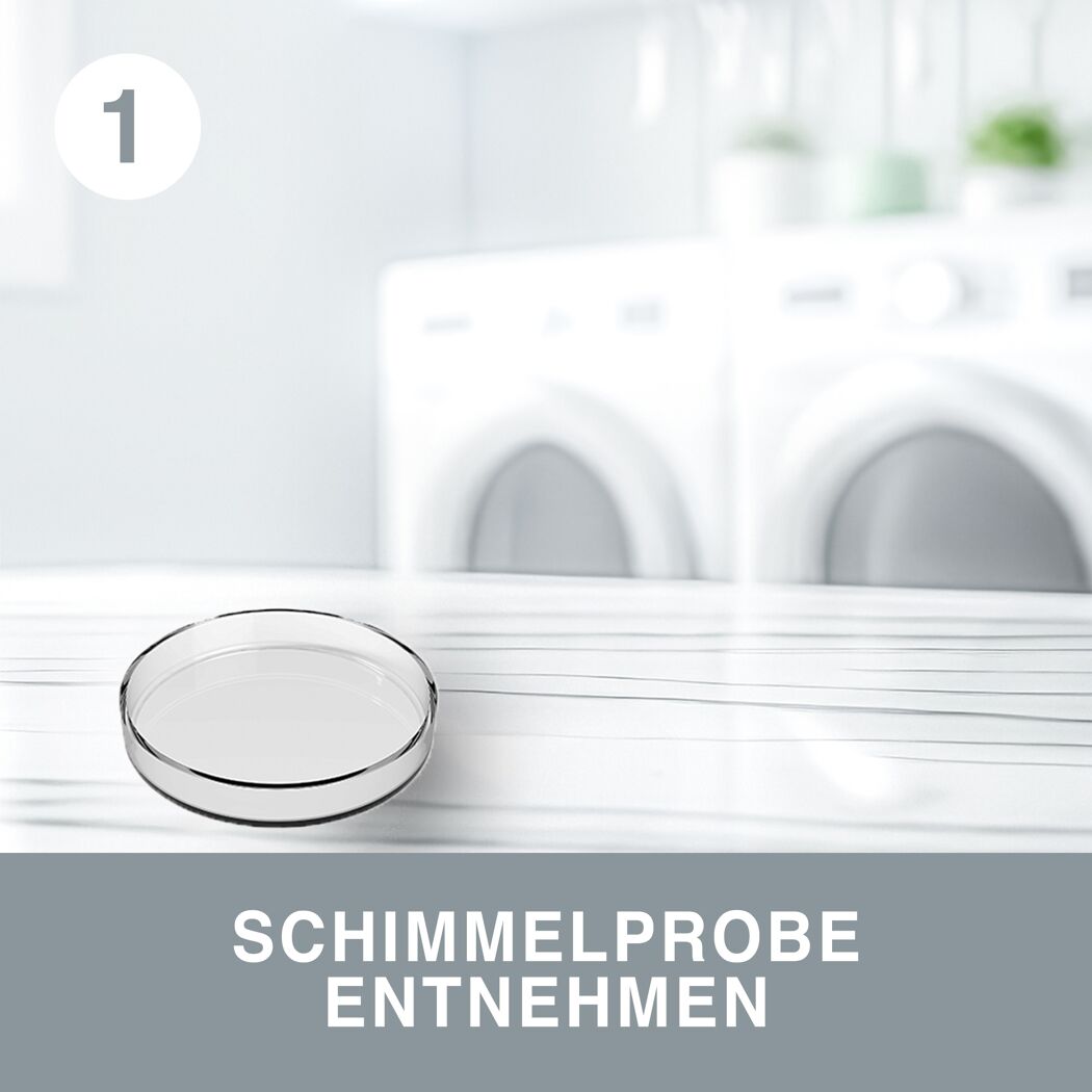 Schimmeltest 'Raumluft' Laboranalyse