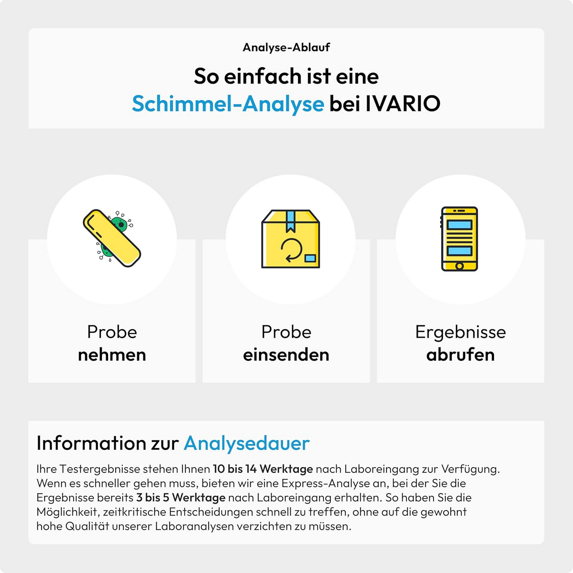 Schimmelanalyse 'Oberfläche' Laboranalyse
