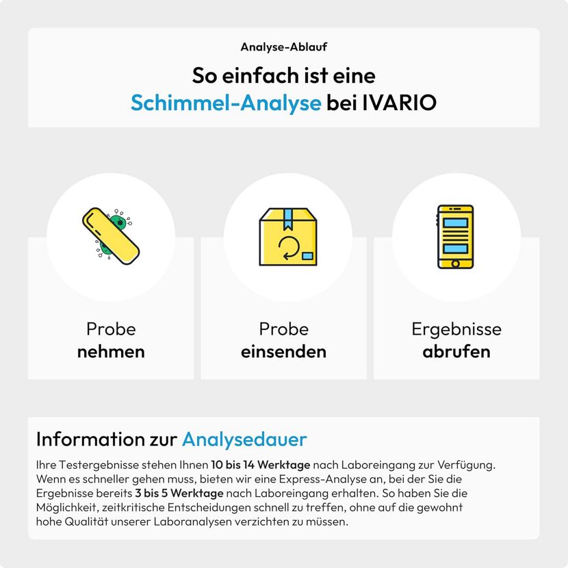 Schimmelanalyse 'Oberfläche' Laboranalyse