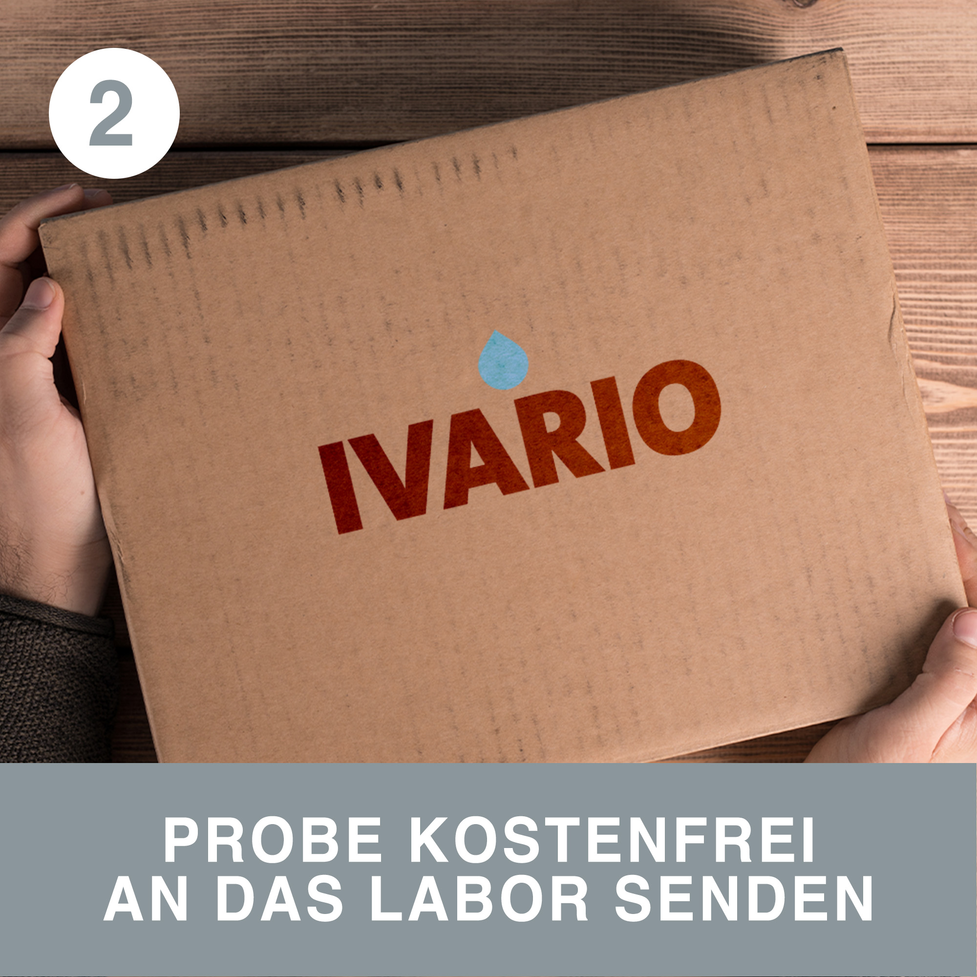 Schimmelanalyse 'Oberfläche' Laboranalyse