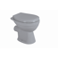 Stand-WC spülrandlos grau 36 x 40 x 49,5 cm