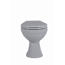 Stand-WC spülrandlos grau 36 x 40 x 49,5 cm