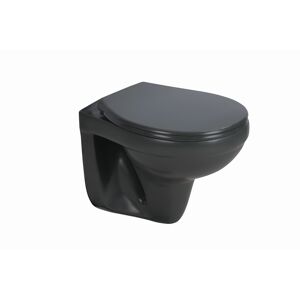 Wand-WC spülrandlos anthrazit 35,5 x 38,5 x 49 cm