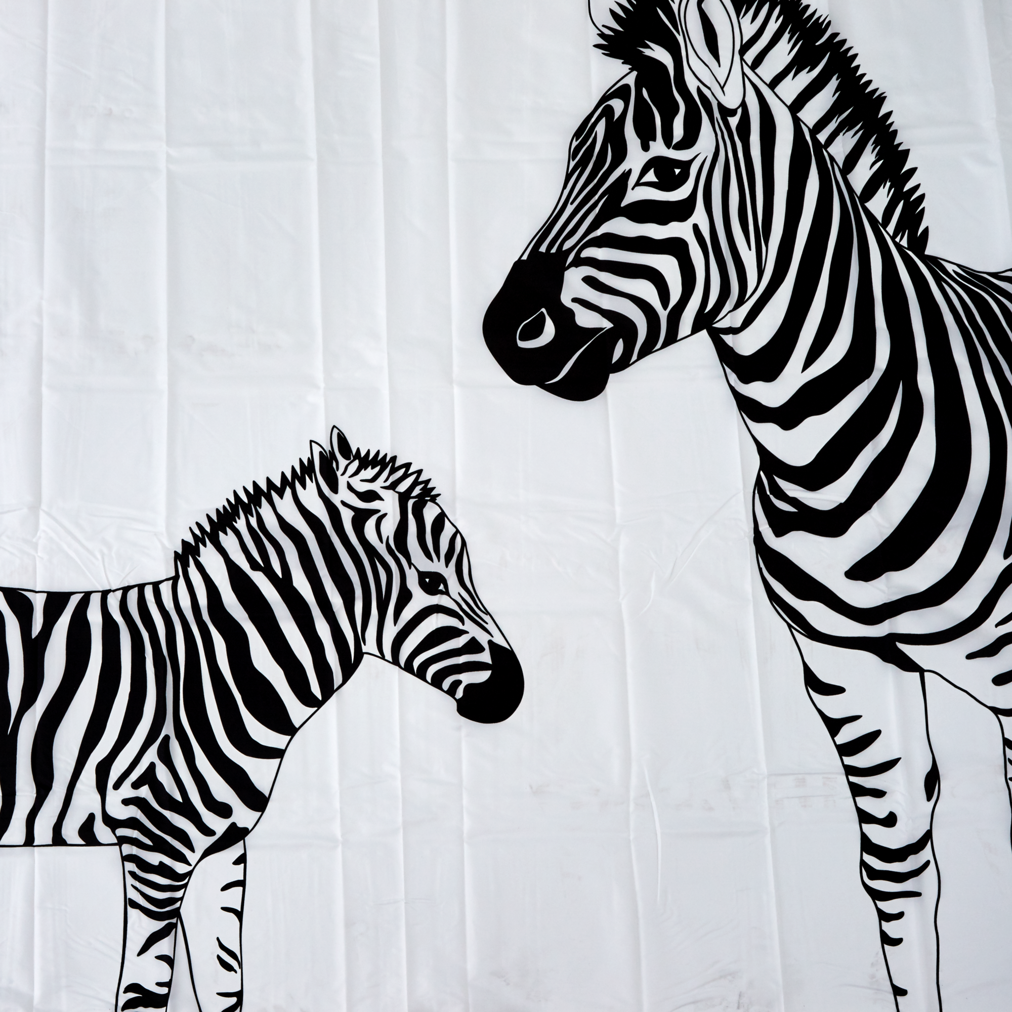 Duschvorhang Zebra 180 x 200 cm + product picture