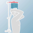 Verkleinertes Bild von Duschsystem 'DuschMaster Rain' mit Einhebelmischer, rund, 155 cm