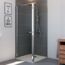 Drehtür 'Elana 6' für Seitenwand, links, 100 cm, silber, Klarglas inklusive Beschichtung