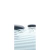 Zwei Steine im Wasser