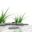 Grüne Grashalme und graue Steine im Wasser.