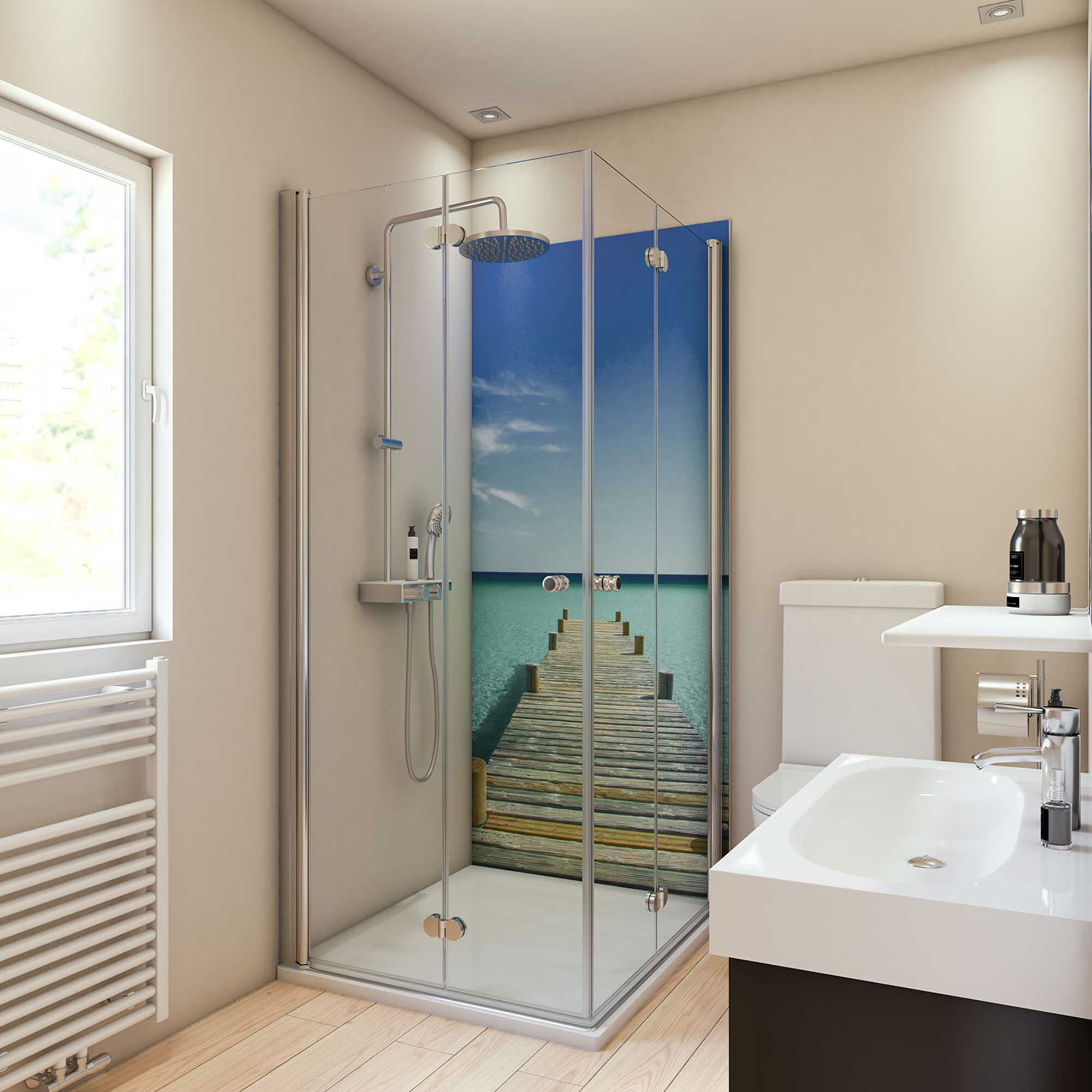 Duschkabine mit Duschrückwand Steg