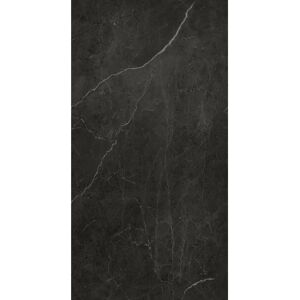 Rückwand 'Marmor Schwarz-Grau' seidenmatt 100 x 255 cm