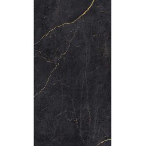 Rückwand 'Schwarz-Gold' seidenmatt 100 x 210 cm
