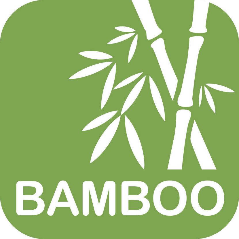 Bambus mit Blättern auf grünem Hintergrund.