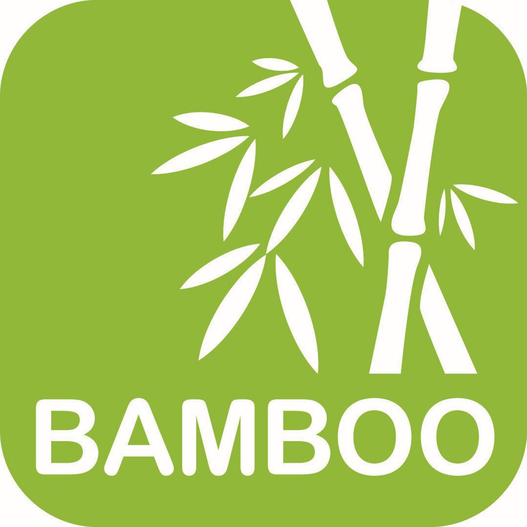 Bambus mit Blättern auf grünem Hintergrund