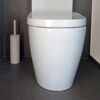 Weiße Toilette mit Toilettenbürste daneben.
