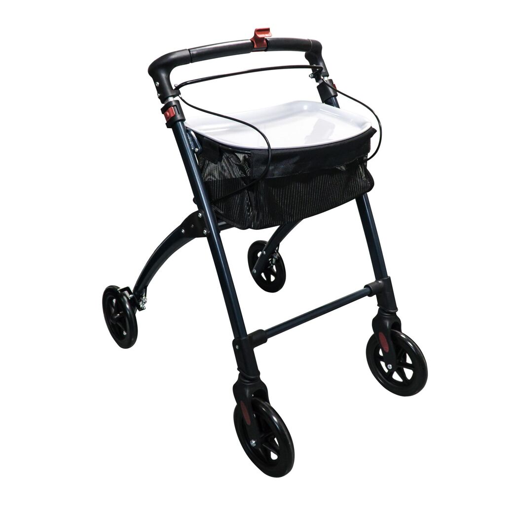 Wohnraum-Rollator Pit, grau