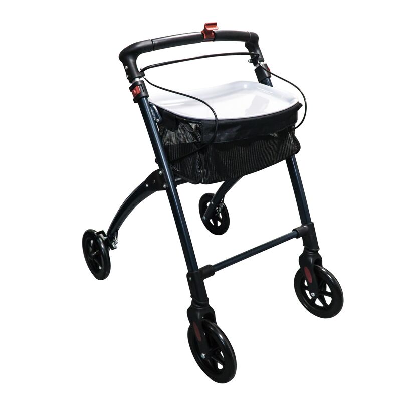 Wohnraum-Rollator Pit, grau