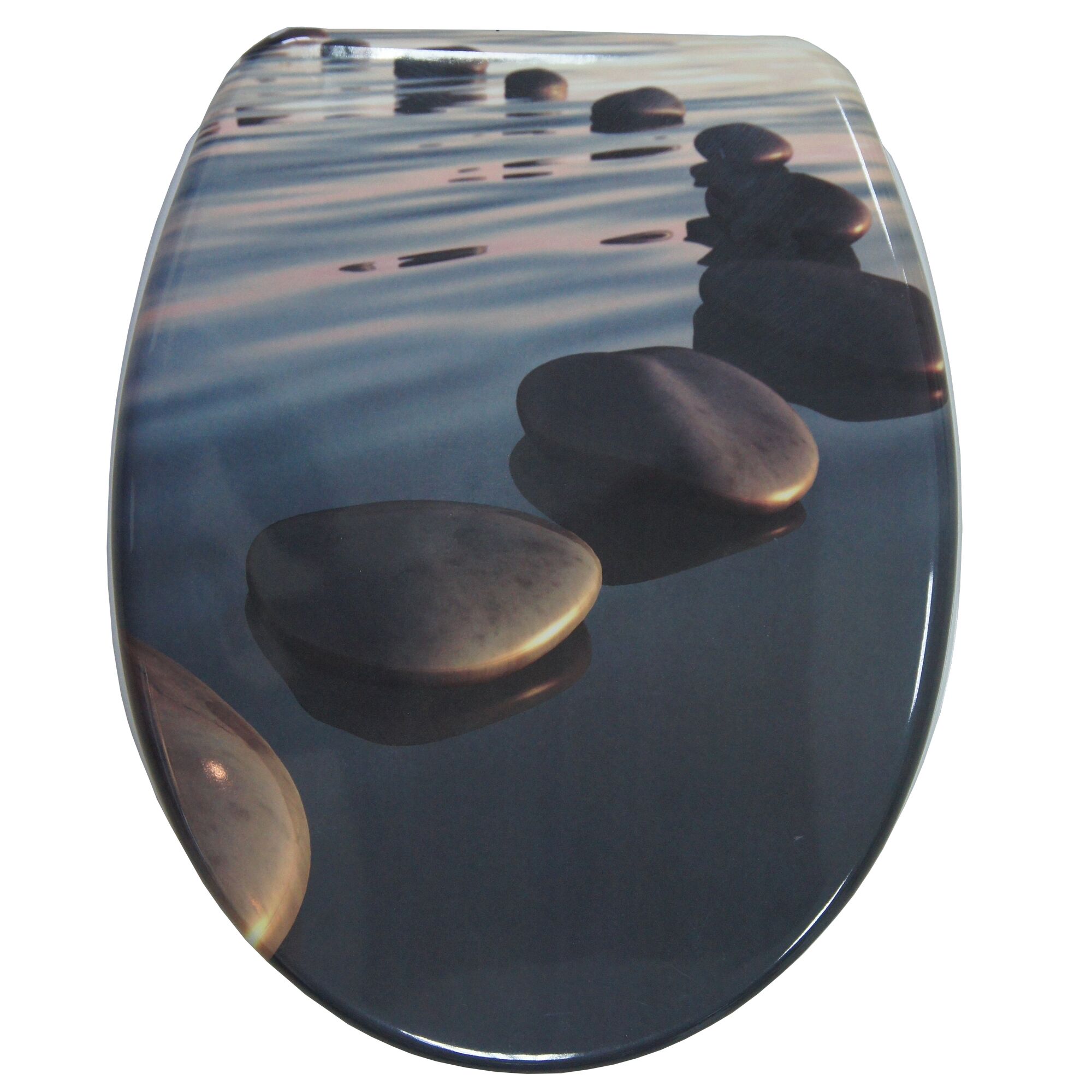 WC-Sitz mit Steinen im Wasser