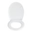 WC-Sitz 'Stream' mit Absenkautomatik Duroplast
