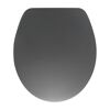 WC-Sitz silber