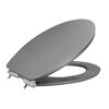 Grauer WC-Sitz