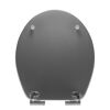WC-Sitz, silber