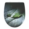 Wassertropfen auf grünem Blatt