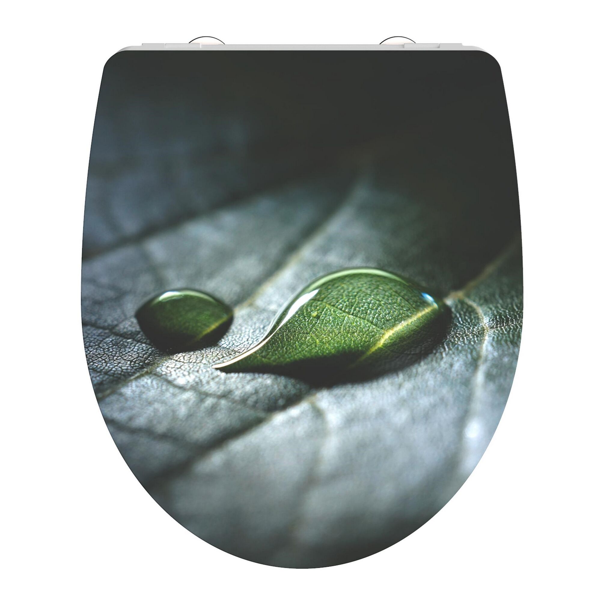 Wassertropfen auf grünem Blatt