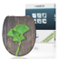 WC-Sitz 'Ginkgo and Wood' mit Absenkautomatik Duroplast