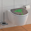 Verkleinertes Bild von WC-Sitz 'Ginkgo and Wood' mit Absenkautomatik braun/grün 37,5 x 45 cm