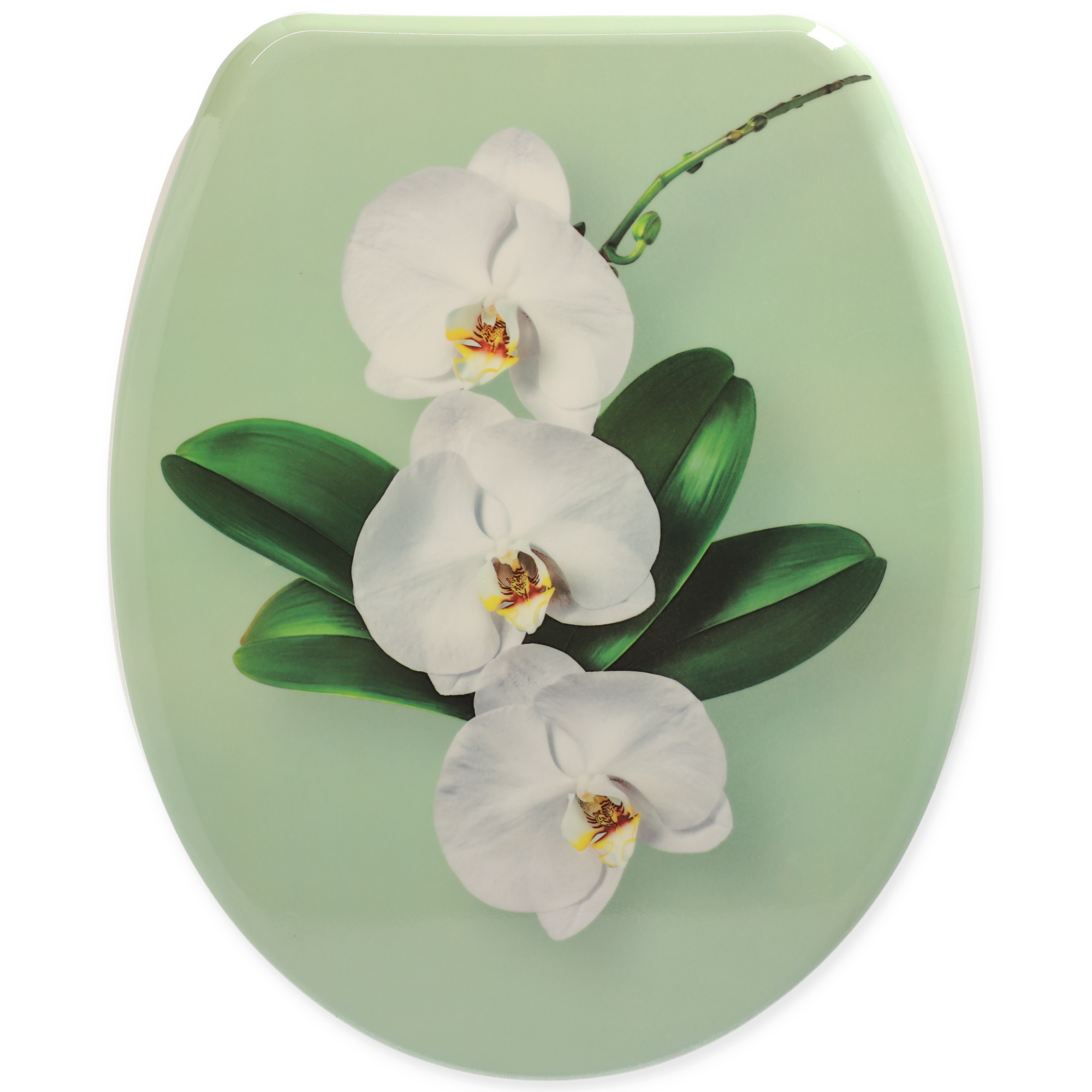 WC-Sitz 'Orchideen' mit Absenkautomatik grün/weiß + product picture