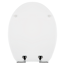 WC-Sitz 'Strand' mit Absenkautomatik beige/blau