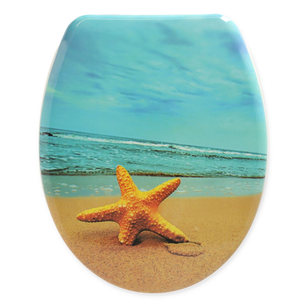 WC-Sitz mit Seesternmotiv am Strand