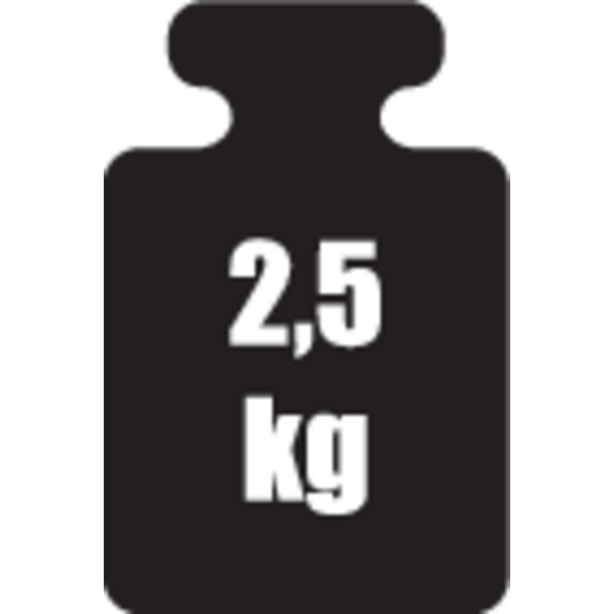 WC-Sitz 'Slate Rock' anthrazit Duroplast Reliefoberfläche, mit Absenkautomatik