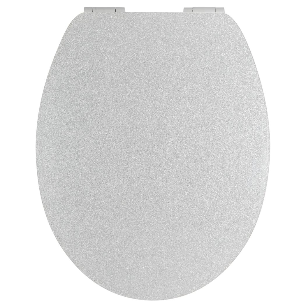 WC-Sitz, silber glänzend