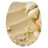WC-Sitz mit Muscheln und Seesternen auf Sand